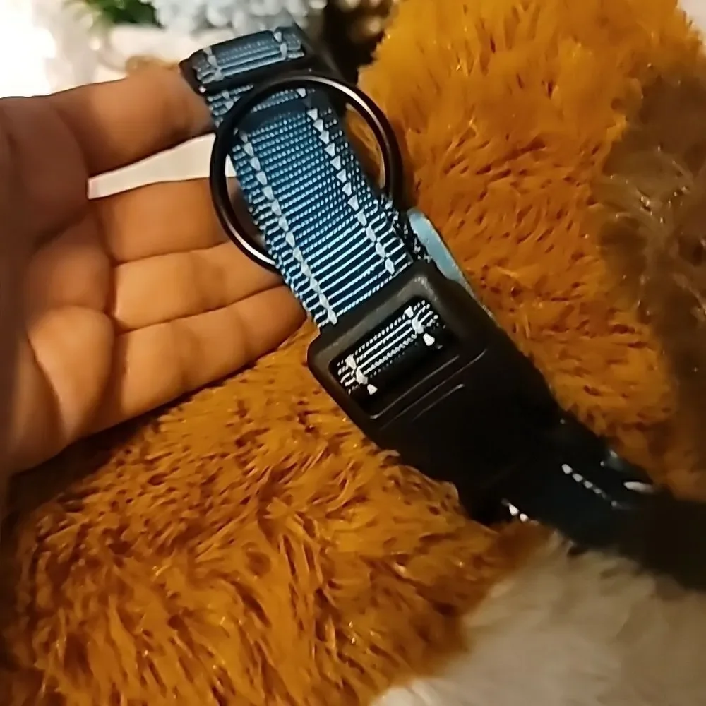 Airtag dog collar size M